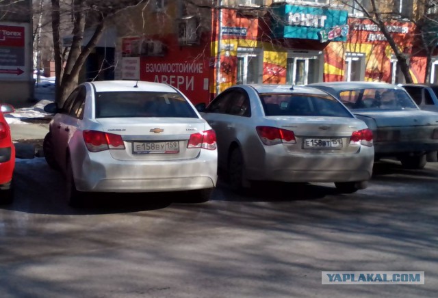Неожиданная встреча