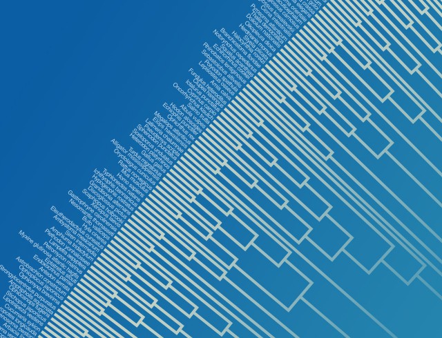 Основные теории происхождения человека