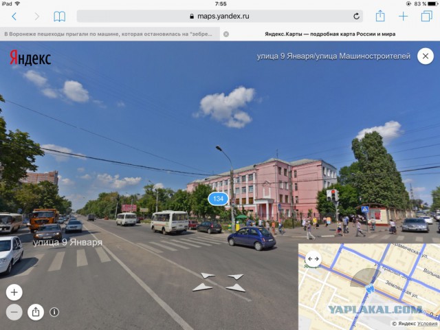 В Воронеже пешеходы прыгали по машине, которая остановилась на "зебре"