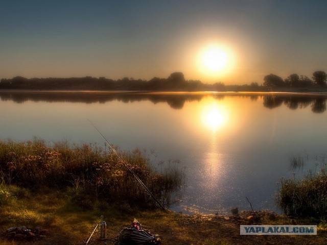 Подборка картинок