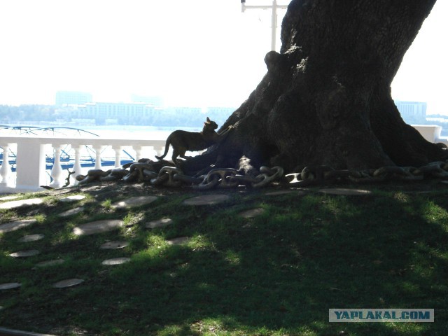 Вечерний Геленджик