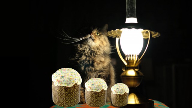 Воинствующая безграмотность