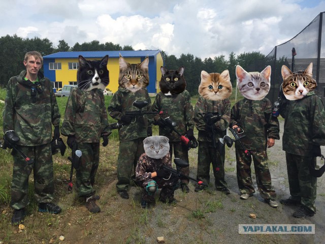 Смелые ЯПовцы.