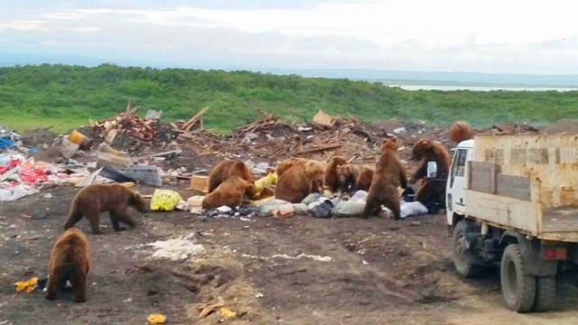 Одинокий мужчина