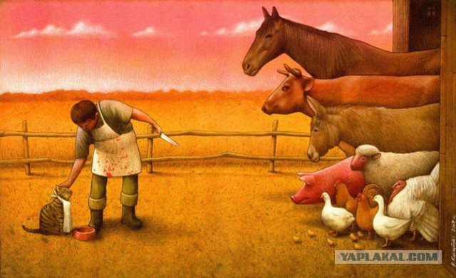 Картинки и приколы из сети