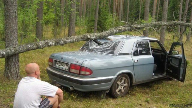 Порция картинок