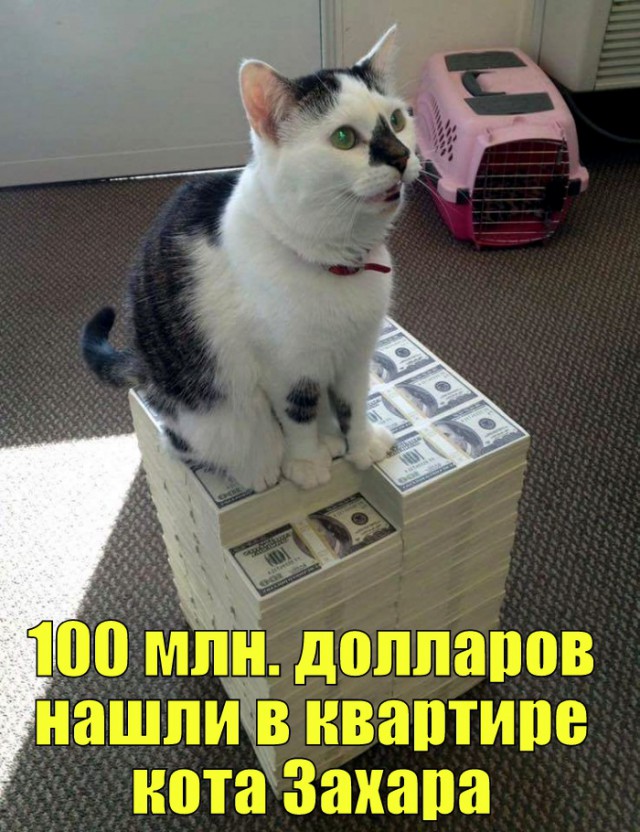 Приколы всякие