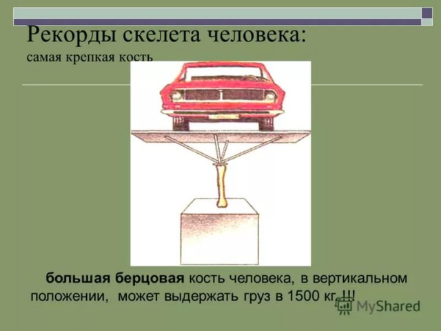 Самые жуткие мутации у людей