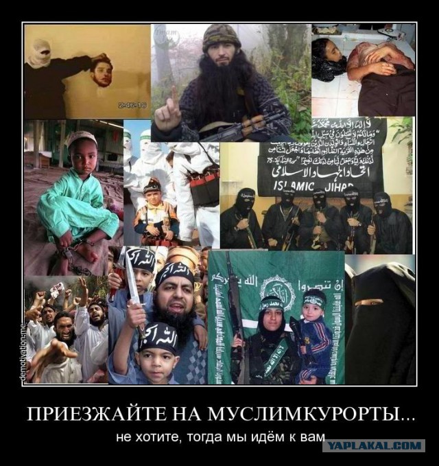 Куда делись беженцы?