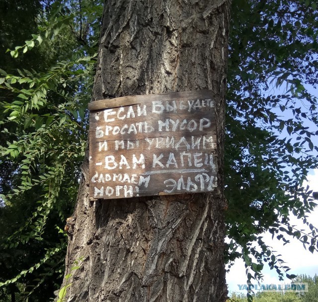 Смешные объявления, вывески и реклама