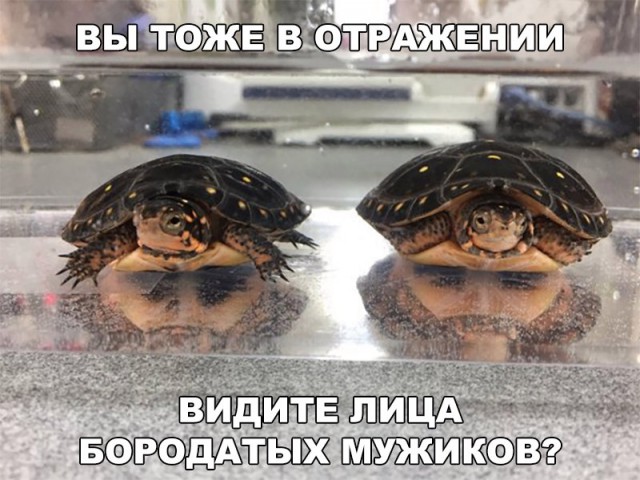 Подборка интересных и веселых картинок