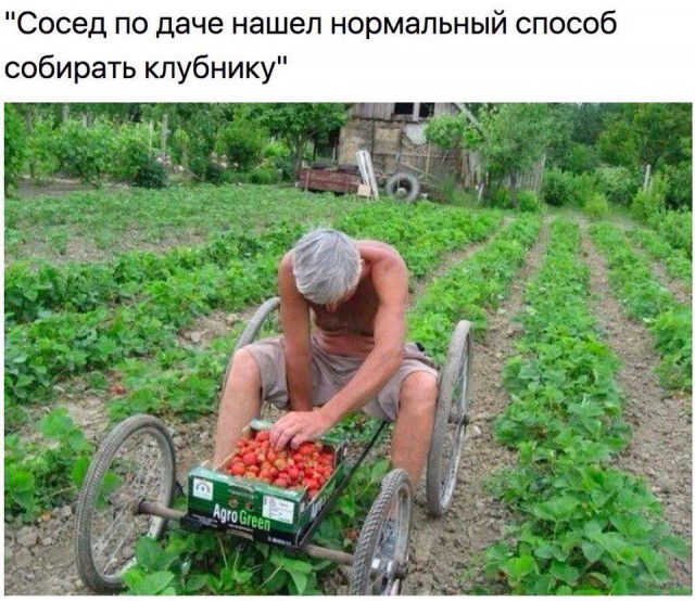 Подборка интересных и веселых картинок