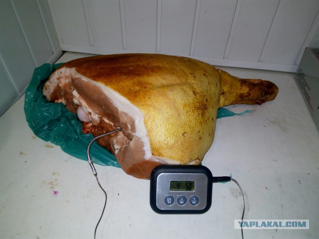 Рулька по-японски