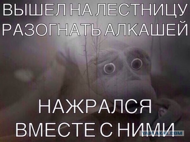 Клуб анонимных алкоголиков