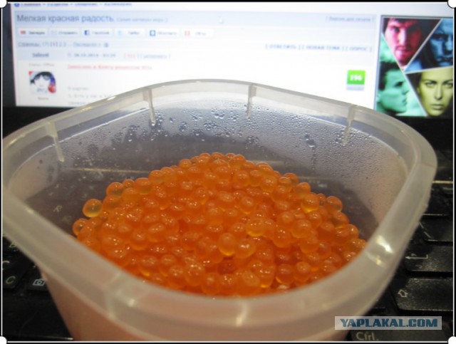 Мелкая красная радость