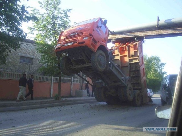 Встал на дыбы