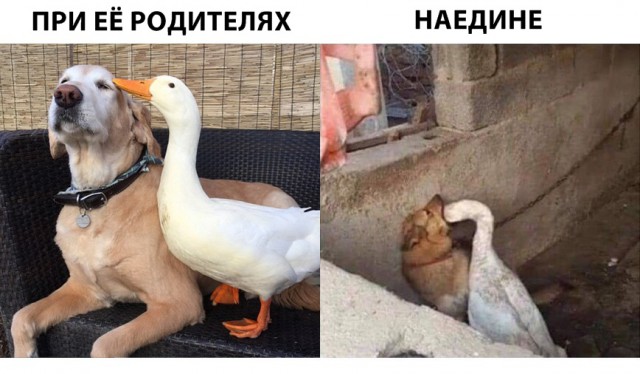 Чернушки вот вам принёс
