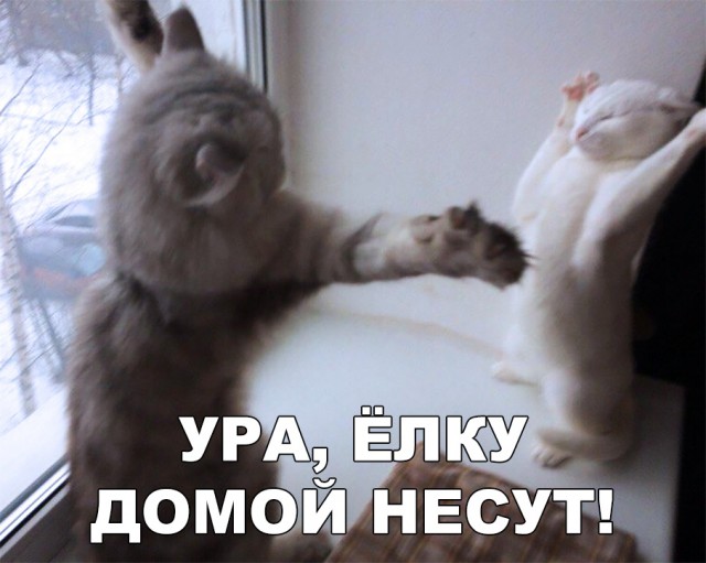 Нестандартный юмор