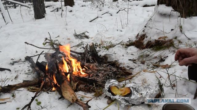 Поход в тайгу