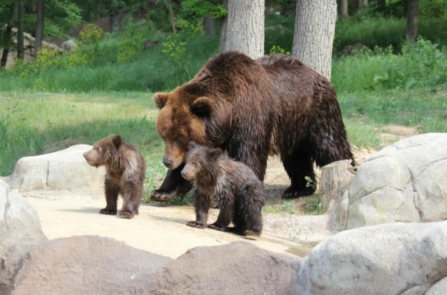 Не люблю папарацци!