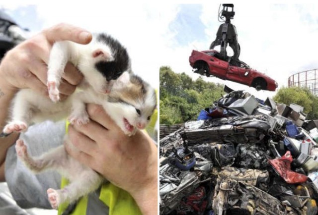 В машине, которую хотели разрезать на металлолом