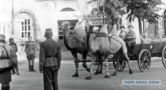 Дореволюционная Россия.