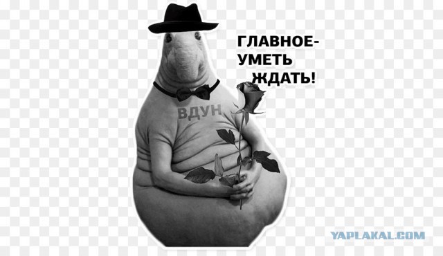 Чужой крест