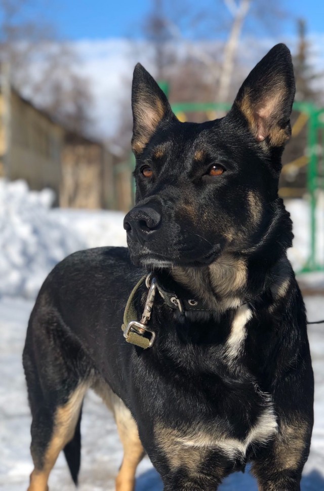 Живность 15.03.20