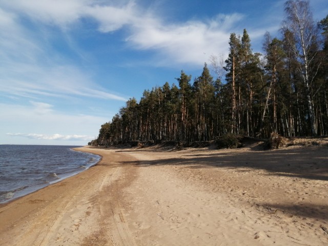 Откровение плохого папы