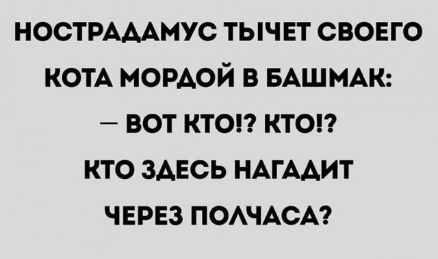 Бредзона 15.08.20