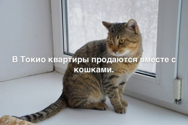 Просто добрые картинки. Всем хорошего дня!