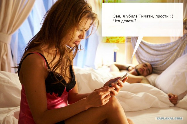 А пока Тимати спит - мы жабим