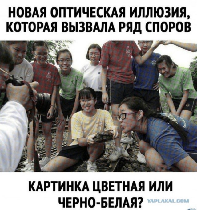 Бредзона 29.10.2020