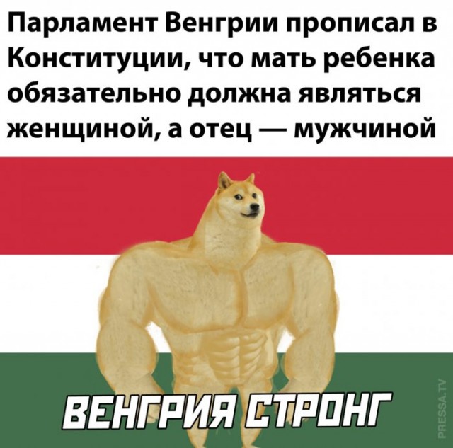Картинки и мемы для настроения 017