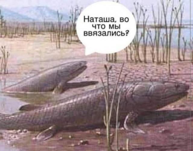 Москва - город женщин в поисках любви (немного соплей)