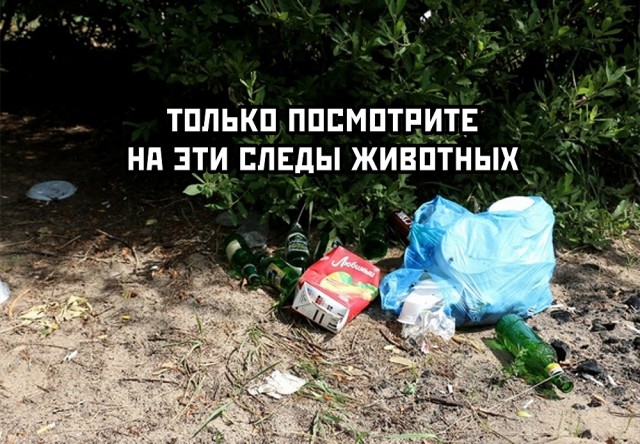 Странные короткие комиксы
