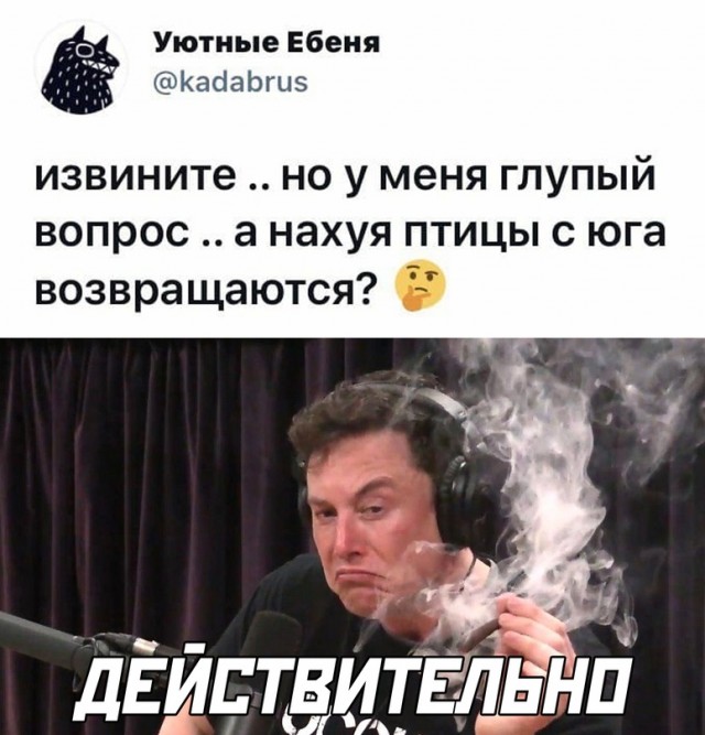 Весёлый полтишок 19.04