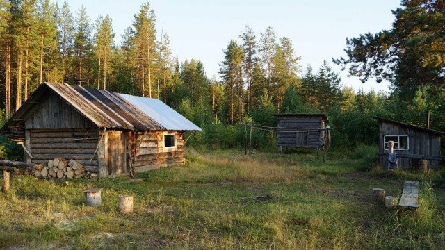 Дома на опушке леса