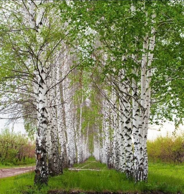 Так себе картинки 29.04.21