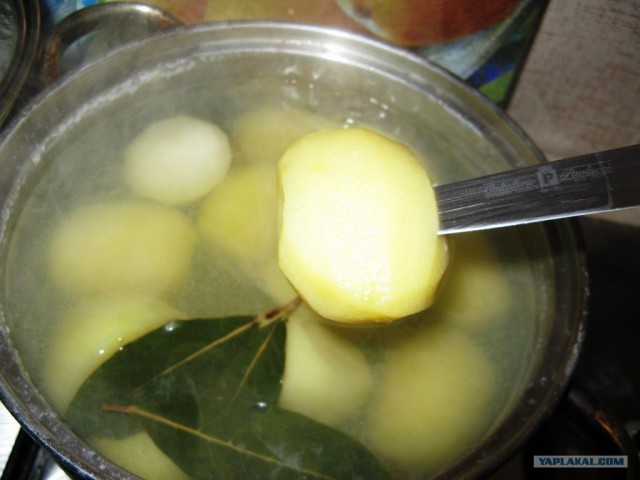 Праздничный обед для чайников от Дженибека&Бомжыка