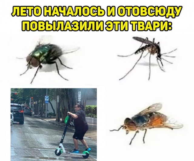 Картинки и мемы для настроения 29.06.2021