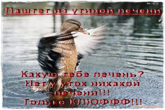 Паштет из утиной печени