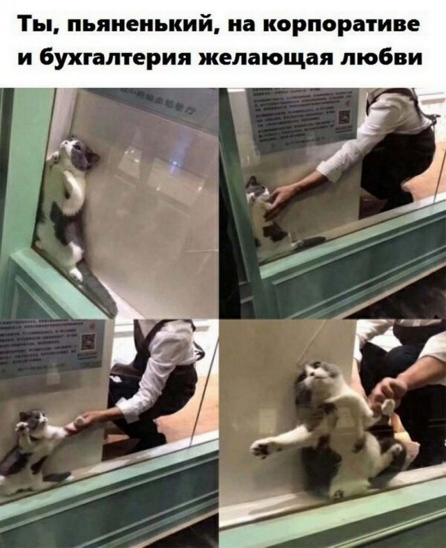 Картинки и мемы, всем прекрасных выходных