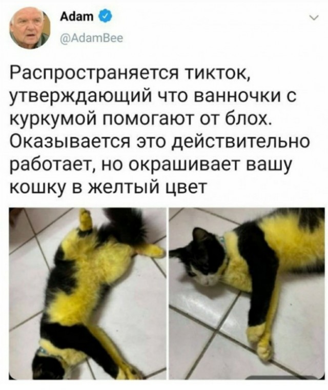 Так себе картинки 23.10.21