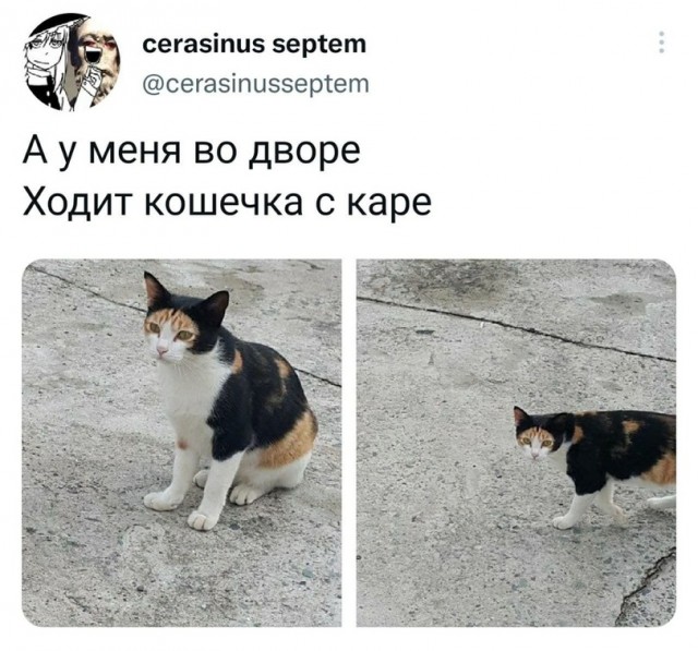 Калейдоскоп картинок