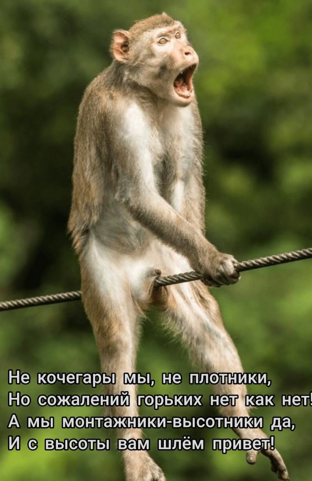 Премия Комедийной фотографии дикой природы-2021 объявила победителей