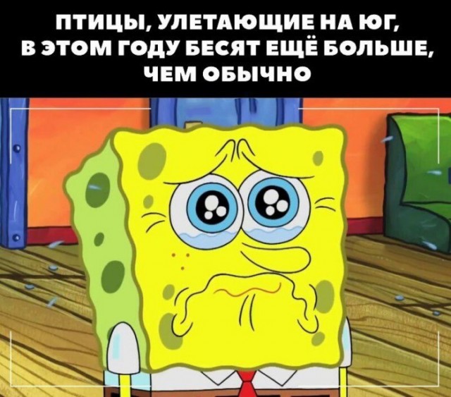 Куда же все так пристально смотрят? Тема сильной зависти.