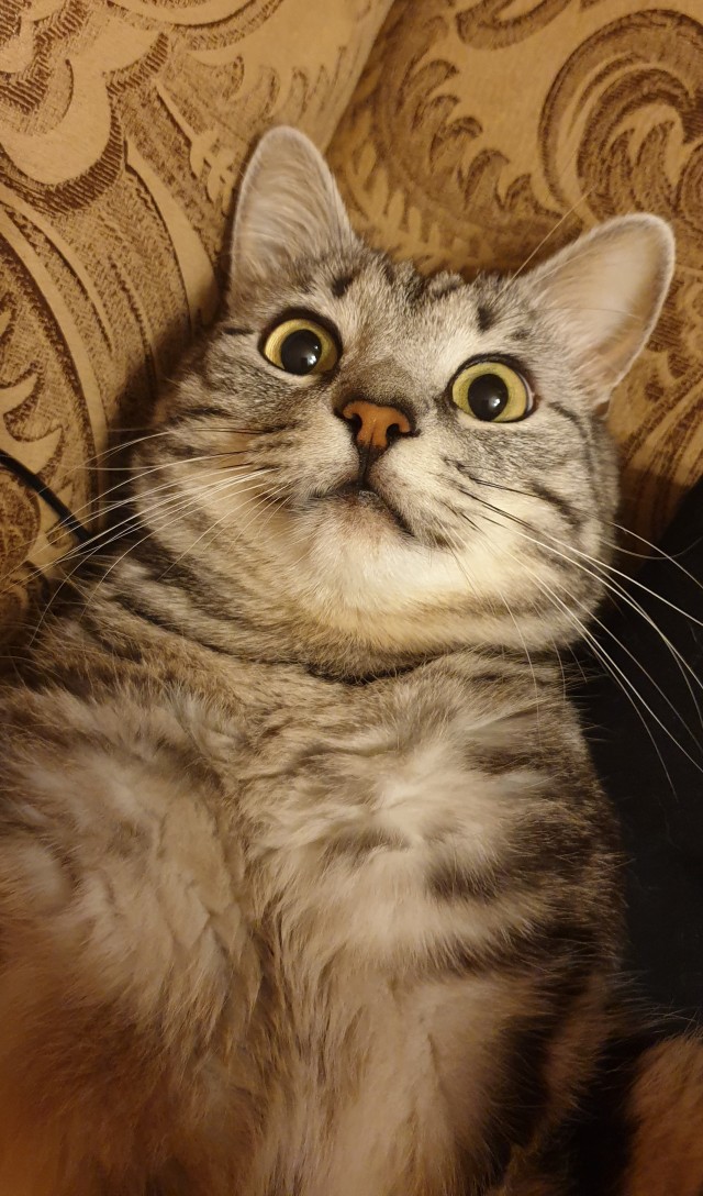 Котовторниковское