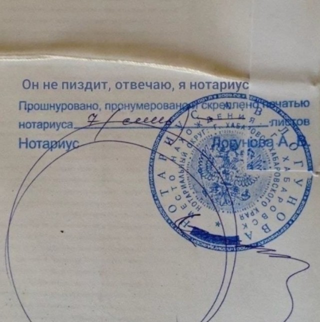 Новое от Васи Ложкина