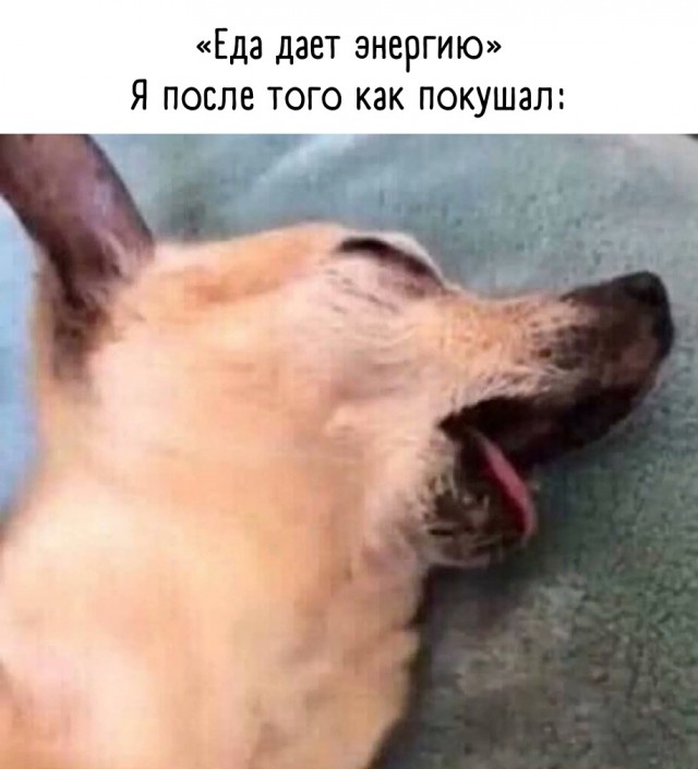 Так себе картинки 18.04.22